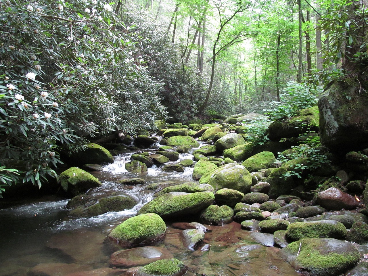 6-Day Adventure in Gatlinburg, Tennessee and Surrounding Area